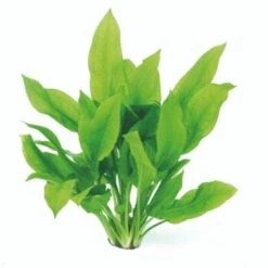 DENNERLE Wasserpflanzen-Set "100 L Basic" 19 DENNERLE Wasserpflanzen-Set "100 L Basic" -EHEIM || DENNERLE || VERSELE-LAGA Verkäufe 02b8f359ae623b73f64060ae2ce1756b73f4625c 1c6a3f43a83e405eff9db3a1d8b1c059c35c0ca8