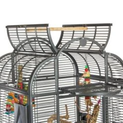 Montana Cages Voliere Havana Dunkelgrau -EHEIM || DENNERLE || VERSELE-LAGA Verkäufe 0342079702df5f6f1c90e8ac8311f42d57c59c38 1070399 de DE b29430fcfdd1c1007a485dda77b5a71087f582c521q2vm