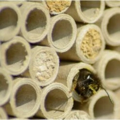 Dobar Großes Profi-Insektenhotel -EHEIM || DENNERLE || VERSELE-LAGA Verkäufe 090e56c238a937a7f8b4416b233d611bb55a231a 7a03522e70dce7ac8cc27bfc448a16225867f712