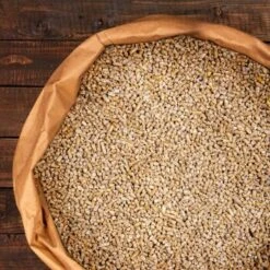 Deuka W/Z-Futter 25 Kg - Wachtelfutter Gekörnt -EHEIM || DENNERLE || VERSELE-LAGA Verkäufe 0961cba8bc9b682144a25d2a60b8147c0b226c3c 1385972 de DE c4802ac00ac3e6e15c11cc1414598b7e38aff560opB2e4