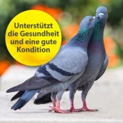 Quiko Multivitamin 375 G -EHEIM || DENNERLE || VERSELE-LAGA Verkäufe 104df2b21f8fd9e32b99e367a9a5b3569dbad191 1387633 de DE f867bf42cdcdb7e6959667b1210fedd6d7d4c069gH7Wsa