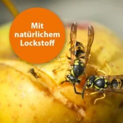 Ardap Wespenfalle -EHEIM || DENNERLE || VERSELE-LAGA Verkäufe 13e12cbed007d8bbe003e59744a3a67bac2773cc 1498738 de DE 2bc91cfdd51bfb6300ca1a1084f06560df5204abW0d5Vq