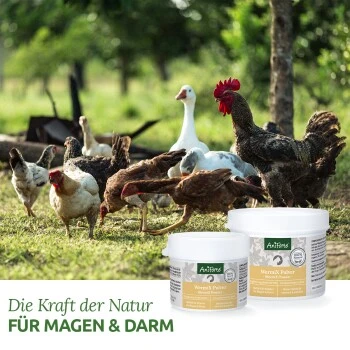 Aniforte Wermix Für Hühner & Co 50g 5 Aniforte Wermix Für Hühner & Co 50g – Bild 3