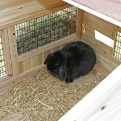 Kerbl Kleintierstall Tyrol Alpin -EHEIM || DENNERLE || VERSELE-LAGA Verkäufe 171790ce081654b413a6450e70de4fcec8313490 9773502bb466235b647cc09752f73d4384b4818f