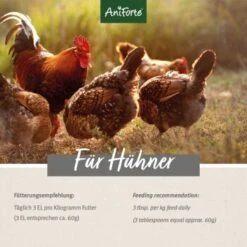 Aniforte Muschelgrit Für Hühner 5kg -EHEIM || DENNERLE || VERSELE-LAGA Verkäufe 1b95fd041424b4e8c5b8ef13cecdac470535abb5 1489432 de DE 308029c59d4ed9bda8d9962b4c542ed053846e74WpHol3