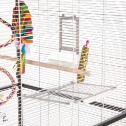 Montana Cages Voliere Paradiso 120 Hellgrau/ Dunkelgrau -EHEIM || DENNERLE || VERSELE-LAGA Verkäufe 1c842f90892054aed2e7d5c892280c11e89fe74b 1200893 de DE 93edbe7d4f0e092dd8649cc255466a331806c29emAqrjU