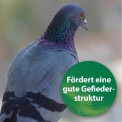 Quiko Spirulina 250 G -EHEIM || DENNERLE || VERSELE-LAGA Verkäufe 1d197f2e004bf765dcdb99f3cb777c57285c03ed 1387640 de DE 185e18e93f54cb0130b70ffb741d9e21c1c0250eZ39B4c