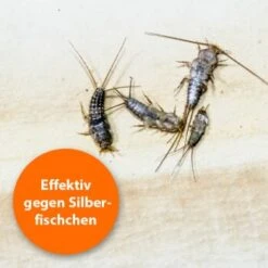 Ardap Silberfischchen Zerstäuber 500ml -EHEIM || DENNERLE || VERSELE-LAGA Verkäufe 1e8dee47b7556a1cfb6814fa2ca6e5dedd235e99 1498736 de DE f0313bba9a85c6f11b477382af9b176a54c3fb16kh0cfu