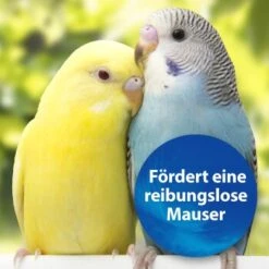 Quiko Biotin M 150 G: Unterstützt Die Mauser Von Ziervögeln -EHEIM || DENNERLE || VERSELE-LAGA Verkäufe 1edb379122303e5bd6851c962595f5914d97ad79 1386532 de DE d423967889f663d8a9511c722121183787861b26YUo6R2