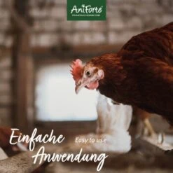 Aniforte Toneier 6er Pack 11 Aniforte Toneier 6er Pack -EHEIM || DENNERLE || VERSELE-LAGA Verkäufe 237cc80d8da7b3b8ea9ceb687e2e93b11c0e56b5 1489433 de DE 8ec91a4dcdd18f19dffd9daabd4dca305839d2df8GxVMY
