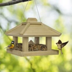 AniOne Wildvogelhaus Mit Silo 7 AniOne Wildvogelhaus Mit Silo -EHEIM || DENNERLE || VERSELE-LAGA Verkäufe 2a8792f6e35ff1c97cb7ad826b06312dfe6a8c07 4f5253fb981a81cd2115de211e23c61932b192d5