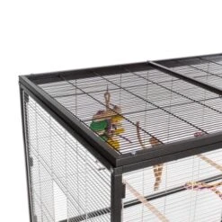 Montana Cages Voliere Paradiso 120 Hellgrau/ Dunkelgrau -EHEIM || DENNERLE || VERSELE-LAGA Verkäufe 2e3ca700ad43b5e6ad054652593895430f2b22d4 1200893 de DE 3f754a7b02eaf44e552bfbe47dafdc8fb7b1d1f8yzvZoM