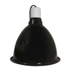 ZooMed Repti Deep Dome Lampenfassung -EHEIM || DENNERLE || VERSELE-LAGA Verkäufe 2ed8e5f5e24aa2bd2d157a85ec95b17a58aa1c6e e1863ba54184d30caa3f144cf5c5569940c4afa9