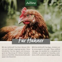 Aniforte Toneier 6er Pack 10 Aniforte Toneier 6er Pack -EHEIM || DENNERLE || VERSELE-LAGA Verkäufe 2fca7168177239da75d03f74fa4a1c77159cd287 1489433 de DE 7085a1a388f1f237d3be86504bf98fc686ff7ec2o1r7t3