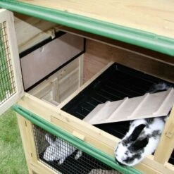 Kerbl Kleintierstall Appartement -EHEIM || DENNERLE || VERSELE-LAGA Verkäufe 2fefb12755f6cb3419ba5e5286e5091028a73780 6f2a43e8e3dc5f03e4faa316fbe185c498a66436