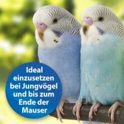 Quiko Plus 400 G: Extra Proteine Für Jungvögel -EHEIM || DENNERLE || VERSELE-LAGA Verkäufe 3190f3828e35083694537fdd840250512177f97d 1386524 de DE a58e247c1fb3092732f92fc759d1dabd3a4811c5GIUhYl