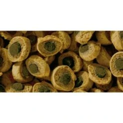 Sera Reptil Professional Herbivor 1l -EHEIM || DENNERLE || VERSELE-LAGA Verkäufe 33c2925ba9c36a695e8a5914642f86a3e39341fc 5af89bea59813cd06ba625fcfeb0ec2e8e3bfcd7