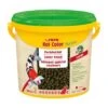 Sera KOI Color L Hauptfutter 3,8l -EHEIM || DENNERLE || VERSELE-LAGA Verkäufe 38550a42e279ec71349951c7b073d5b4c28582f3 74af6632f0d7f47632b25b231ed83ca98d3f63f1