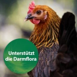 EHEIM || DENNERLE || VERSELE-LAGA Verkäufe -EHEIM || DENNERLE || VERSELE-LAGA Verkäufe 3d52ae2cda3a93dbbb171e59599a6c0a27f2e3c3 1387640 de DE 67c9513295fdd7c15a86037e0ffd1fd47159d67cAGelHa