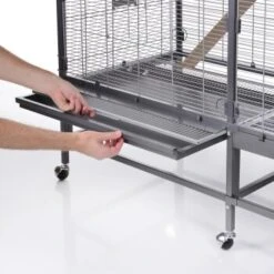 Montana Cages Käfig Sevilla 150 -EHEIM || DENNERLE || VERSELE-LAGA Verkäufe 40a7a22b7e7383f382f7d5d49694c17593728733 1421215 de DE cb30a20ec681ca4fbd2305f984634200af50059f16ePTO