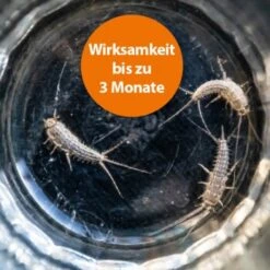 Ardap Silberfischchen Köderdose 4er Pack -EHEIM || DENNERLE || VERSELE-LAGA Verkäufe 44c38352a1e90439028a6a399a6d84d856169da4 1491615 de DE 6352379a7404bc513d6bcf3313a7de6b9673dd65mT3bI3
