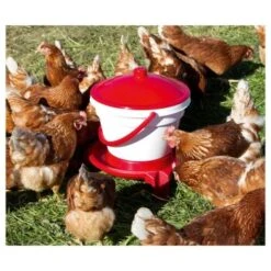 Kerbl Geflügeltränkeeimer 12L Mit Füße Und Tragebügel -EHEIM || DENNERLE || VERSELE-LAGA Verkäufe 46c445279d8bf8406716f32b719c08bcadede088 de3def0157ac71d97be4cc2e461b2f6c904de118