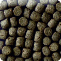 KENKOU Koifutter Bakudai 5 Kg -EHEIM || DENNERLE || VERSELE-LAGA Verkäufe 53d9e6fd4e6fab4ceda9b993446b24c7dabebdec 1496997 de DE 80f963782a644885148ec42829ddfc1c4d7f2c2fgxbjfW