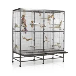 Montana Cages Voliere Paradiso 150 Hellgrau/ Dunkelgrau -EHEIM || DENNERLE || VERSELE-LAGA Verkäufe 57d765c5251d220f7fb80b9e17dd7c30bed7aa9a 1330426 de DE 32a0a07122e2d2167ed99c854ac82bd80c6ddd4fR7g0HT