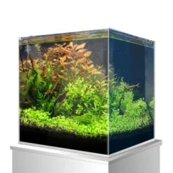 Amtra Nanoscaping Weisglassbecken 15 L -EHEIM || DENNERLE || VERSELE-LAGA Verkäufe 58236b3cab086b84dd3cc2e4cf34565296c2c99b 8324f35622550151fdc74ef4d8f4c3f144a7a312