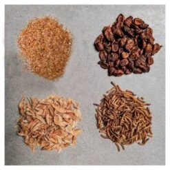 Insektus Mehr Sorten Mix 500 G -EHEIM || DENNERLE || VERSELE-LAGA Verkäufe 5895c510d1d95af8c852f4fdff0d81288d47e749 1497021 de DE ee380a1fee8d0cf88002c4ffacfae937e187f839gdtzo1