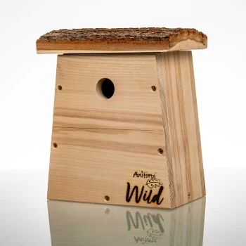 Aniforte Wild Nistkasten Für Kohlmeisen 3 Aniforte Wild Nistkasten Für Kohlmeisen