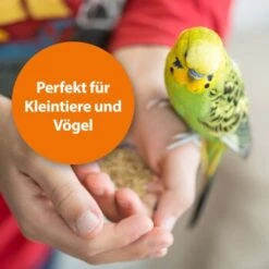 Ardap Milben- Und Zeckenspray Für Nager Und Vögel 100ml -EHEIM || DENNERLE || VERSELE-LAGA Verkäufe 68a588b27c2bdeb958613c196e70f41522c1ca73 1352522 de DE 1626057c073e83595c48b5e38365b5bb10e0c4acyC8yCA