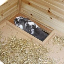 Kerbl Kleintierstall Tyrol Alpin -EHEIM || DENNERLE || VERSELE-LAGA Verkäufe 6d227fe763647c07827ef0bb889e4df382ab6c29 b0ce99e06781483f1a0fd9ec2deb2a932d3c0a69