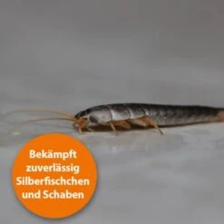 Ardap Silberfischchen Köderdose 4er Pack -EHEIM || DENNERLE || VERSELE-LAGA Verkäufe 72fabc50056007131e03d17d8e538527b79dba5b 1491615 de DE 8e2946df12760b4cf9ee3a746cd4a22e1440ef88IC2RGd