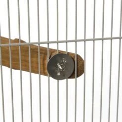 HappyBird Eck-Sitzst Rainforest Corner Perch XL 7 HappyBird Eck-Sitzst Rainforest Corner Perch XL -EHEIM || DENNERLE || VERSELE-LAGA Verkäufe 75e6d54575ca8b2892a75de8459fb2337e93d6fa 1416836 de DE 6c69ea675004293917d32ca895518145a4e02fa1ona8CG