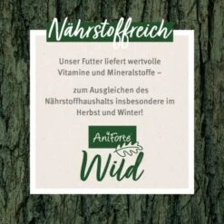 Aniforte Eichhörnchenfutter 1 Kg -EHEIM || DENNERLE || VERSELE-LAGA Verkäufe 7e69eb9def115157e11403b49545f21b40d97cd0 1472622 de DE 4fc8c0033d4b3c843f275bde079a6715dbd7038b7dVrk5