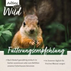 Aniforte Eichhörnchenfutter 1 Kg -EHEIM || DENNERLE || VERSELE-LAGA Verkäufe 7f73354bcb021e39248f5969efdc2ec1bb139b57 1472622 de DE 16db3f538f09bf1ee026ff31ba098faa34552b8192Yma4