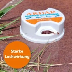 Ardap Ameisen Köderdose 3er Pack -EHEIM || DENNERLE || VERSELE-LAGA Verkäufe 8010fc1a94505a48d00e79dc55546361f20c914f 1385164 de DE a3b7d83ecf7d28fa3336872c1d06c4b46868bcb2qudCKC