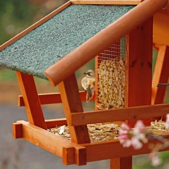 Lionto Vogelhaus Mit Futtersilo 5 Lionto Vogelhaus Mit Futtersilo – Bild 3