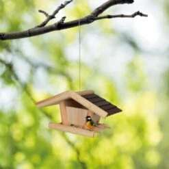 AniOne Wand - Vogelhaus -EHEIM || DENNERLE || VERSELE-LAGA Verkäufe 81a9d5a1efc975ac090cedc6a9e3eb3708ed3628 1301965 de DE WandVogelhaus 3