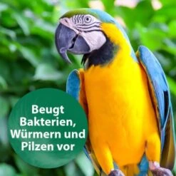 Quiko Med V Liquid 100 Ml: Mit Hochwertigem Oregano-Öl Für Ziervögel -EHEIM || DENNERLE || VERSELE-LAGA Verkäufe 88a4d869da906e8aaa1074413d2b5765c37fe51c 1387820 de DE 18f5cb5cc5b0a1074c44f20b530fefedca292a50auwynr