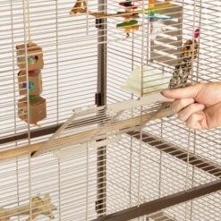 Montana Cages Voliere Paradiso 90 Schoko -EHEIM || DENNERLE || VERSELE-LAGA Verkäufe 8a51e1e8340559f25f4320aa285908e55a235d2f 1200892 de DE 0576ffe209ea05253ebe1a6e08466fe13ae3f4a3jFC7T8