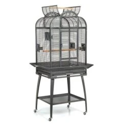 Montana Cages Voliere Havana Dunkelgrau -EHEIM || DENNERLE || VERSELE-LAGA Verkäufe 8c5dda96dcd1ea5fa941a34eb267552d97b45cb0 1070399 de DE cb0ae5e208fd4e2582ee831e9287d89255e31f8050vrNy