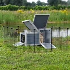 Lionto DIY-Kleintiergehege -EHEIM || DENNERLE || VERSELE-LAGA Verkäufe 8ce511e37d3b765fa8615119e80e9c8728c27359 1657947 de DE 1389ad110191a675b16fc523e3bf63c805e91b97e3kGpz