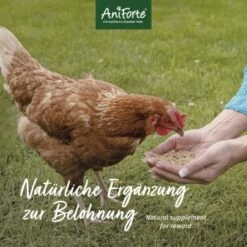 Aniforte Hühnertraum 2,5kg -EHEIM || DENNERLE || VERSELE-LAGA Verkäufe 91d0d53fa3b5ad18bba084e121acb841d1fbb121 1489436 de DE b026743637447d83056b1e895679d3ce932791feKHu6MG