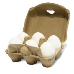 Aniforte Toneier 6er Pack 12 Aniforte Toneier 6er Pack -EHEIM || DENNERLE || VERSELE-LAGA Verkäufe 9ac6e915717b6a2cf57ce34ddf3dd6b6b04b1d63 1489433 de DE 59d2526fbfb0c78355bbda3b9f9e4df065390e1eazsq7U