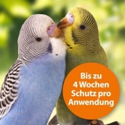 Ardap Spot-On Für Ziervögel & Brieftauben 11 Ardap Spot-On Für Ziervögel & Brieftauben -EHEIM || DENNERLE || VERSELE-LAGA Verkäufe 9b899314fb738b053685da335e4670f2d75786e9 1227326 de DE cbf8d013d4256d60577e01ac4d0d3b9782cb3ad0UKAghT