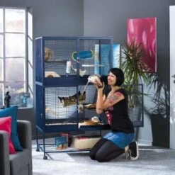 Savic Kleintierheim Royal Suite -EHEIM || DENNERLE || VERSELE-LAGA Verkäufe 9c12cc7aeacc1bbd7d9b8bb6342bd96d8ea811be 7be165c8cbaac0d634eb51ae80ebbc609960afdb