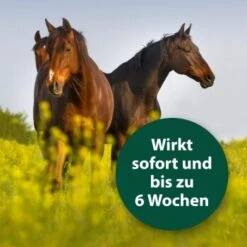 Equisept Fliegen- Und Ungeziefermittel M -EHEIM || DENNERLE || VERSELE-LAGA Verkäufe 9c7c8bba2d22b25d7adb97a246e4d0f6ab2dd562 1360556 de DE fd0486c3b29294a653d3f382ebcc3fbe6c3efb3avTrXZy