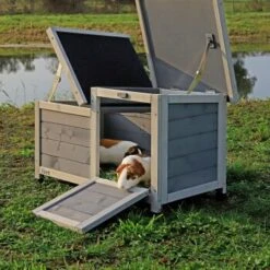 Lionto Kleintierhaus, Hellgrau -EHEIM || DENNERLE || VERSELE-LAGA Verkäufe 9d5aa4b80d994a15aaae0980907eba6d9cdb6116 1498022 de DE e6a11da58c22a78caa9ce16194394a1f9e88b942CvTEpn